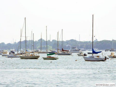 Lake With Sailboats